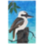 Thumbnail: KOOKY - Kookaburra