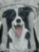 Thumbnail: Border Collie Denim Jacket - Levis Strauss M
