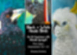 Black + White Aussie Bird Art Experience - 2 days
