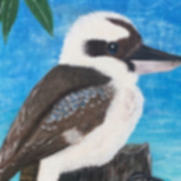 KOOKY - Kookaburra