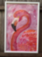 Thumbnail: FLOSS - Flamingo