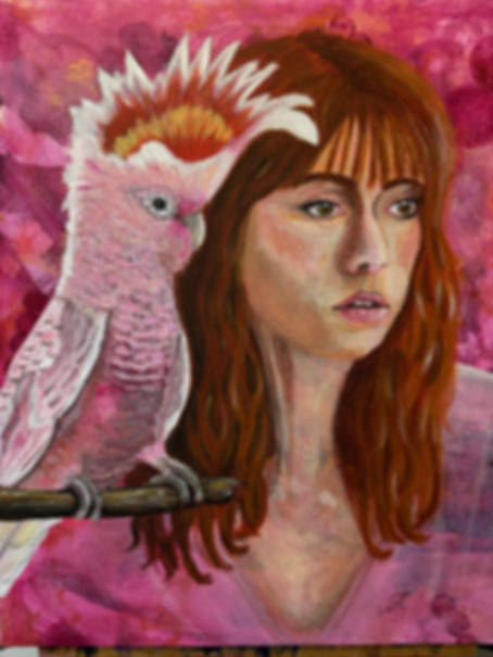 Feathered Serenade - Major Mitchell Cockatoo