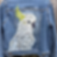 Thumbnail: Sulphur Crested Cockatoo Denim Jacket JayJays10