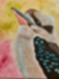 Kezza Kookaburra